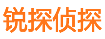 硚口市调查公司